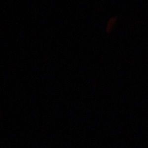 Meet your Posher, Cameron